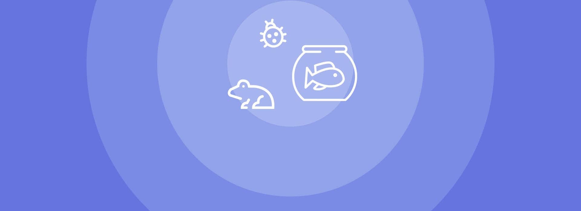 o que é rtp slot