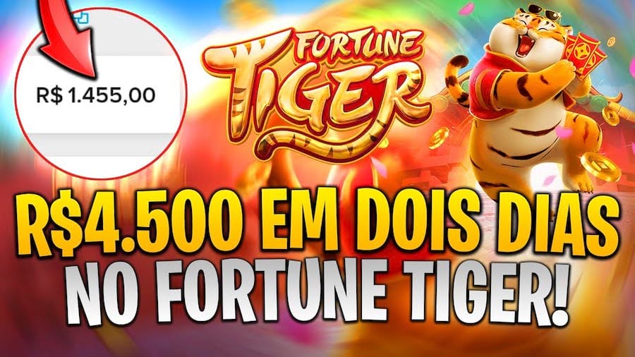 stake apostas login